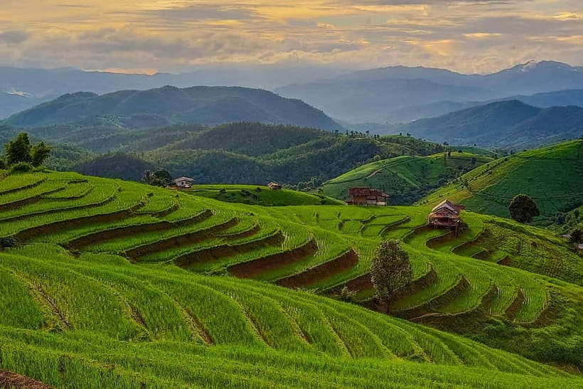 Chiang Mai : Pa Bong Piang Rice Terraces & Doi Inthanon - Wachirathan Waterfall: the day’s powerful finale
