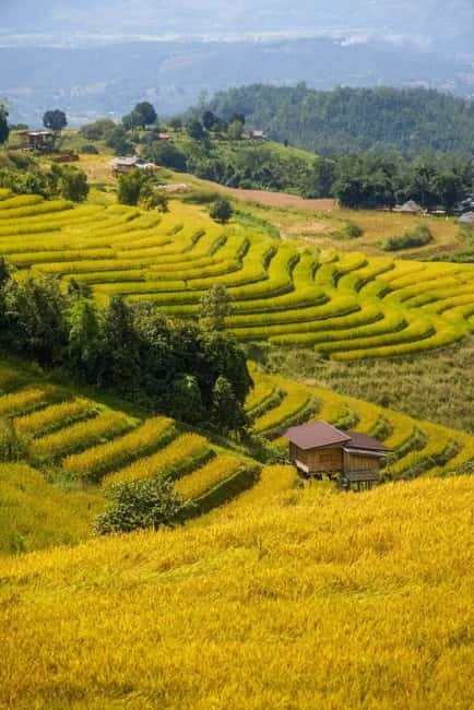 Chiang Mai : Pa Bong Piang Rice Terraces & Doi Inthanon - Timing, clothing, and the small gear choices that save your day