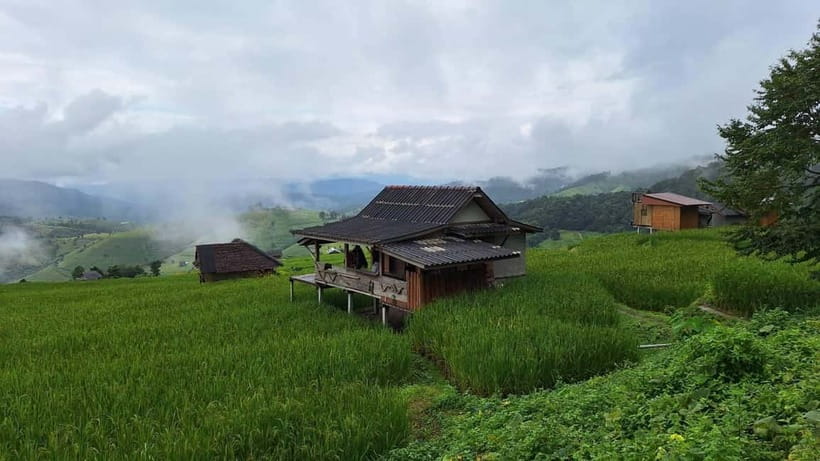 Chiang Mai : Pa Bong Piang Rice Terraces & Doi Inthanon - Pa Bong Piang Rice Terraces: Karen farming and easy, stunning walking