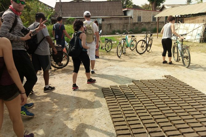 Chiang Mai Paradise Full-Day Cycling Adventure Tour - Rice Fields to Orchards: Why the Countryside Bike Pace Works