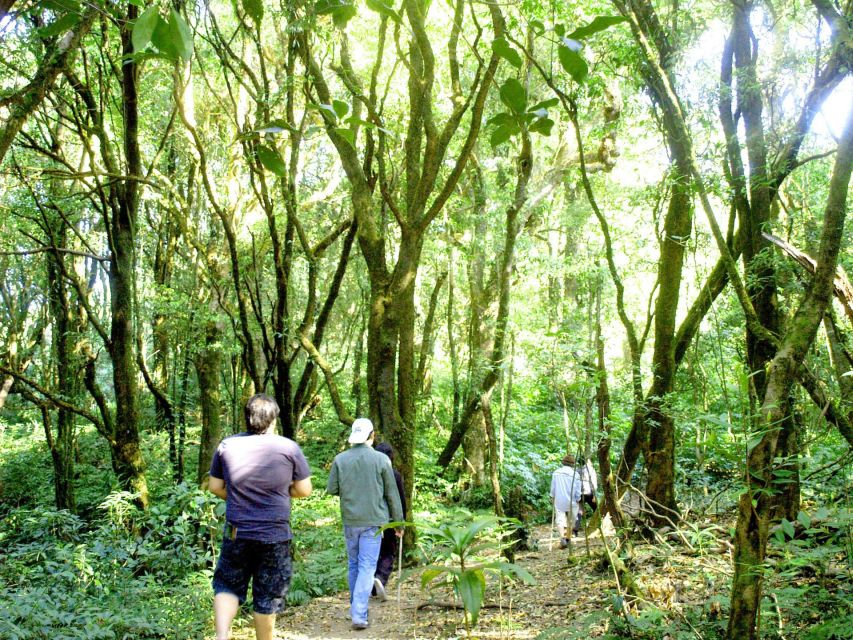 Chiang Mai: Pha Dok Siew Nature Trail & Doi Inthanon Trip - Key points to know before you go