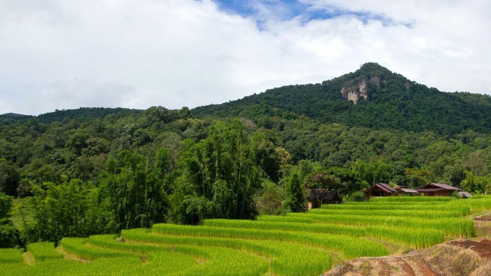 Chiang Mai: Pha Dok Siew Nature Trail & Doi Inthanon Trip - Price and value: what $43 really covers