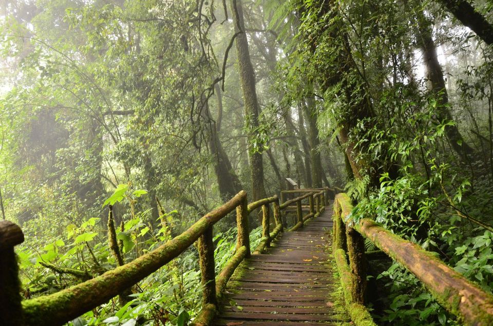 Chiang Mai: Pha Dok Siew Nature Trail & Doi Inthanon Trip - Pha Dok Siew and Doi Inthanon in one day: the big idea