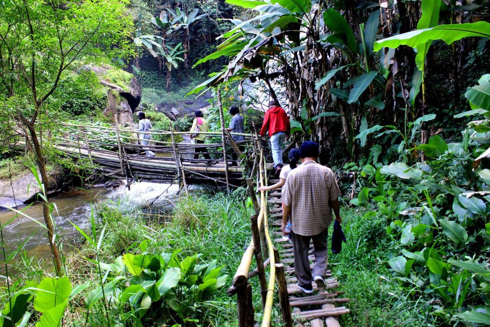 Chiang Mai: Pha Dok Siew Nature Trail & Doi Inthanon Trip - How the guide turns scenery into real-world knowledge