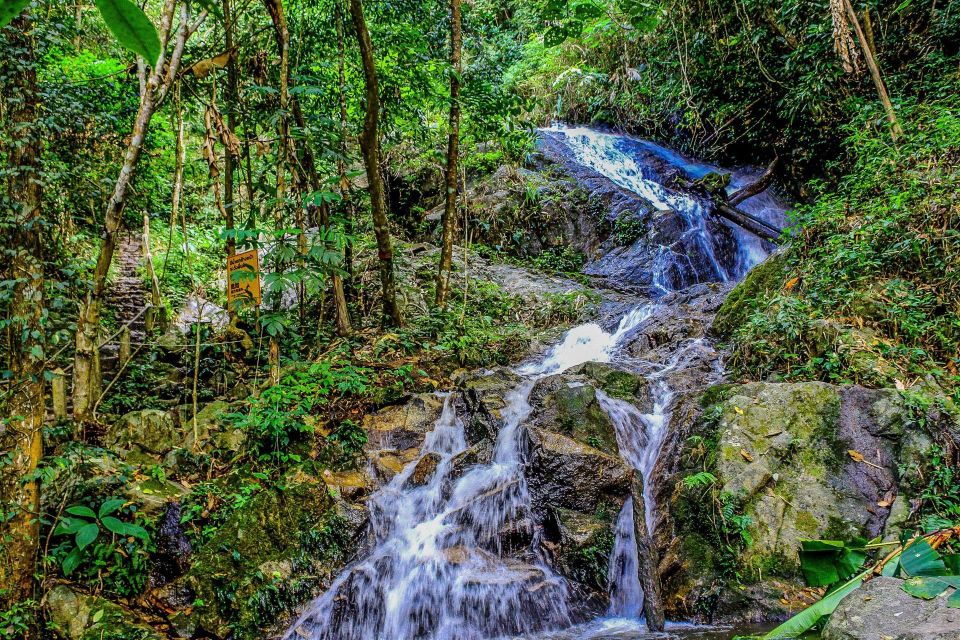 Chiang Mai: Pha Dok Siew Nature Trail & Doi Inthanon Trip - King and Queen pagodas: iconic views, limited time