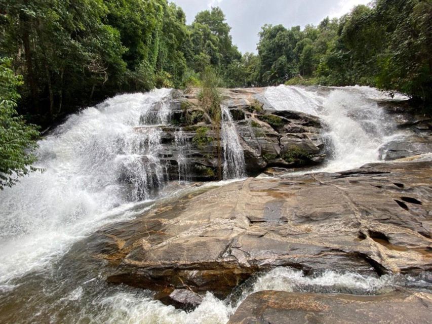 Chiang Mai: Pha Dok Siew Nature Trail & Doi Inthanon Trip - Pickup, timing, and how the day stays organized