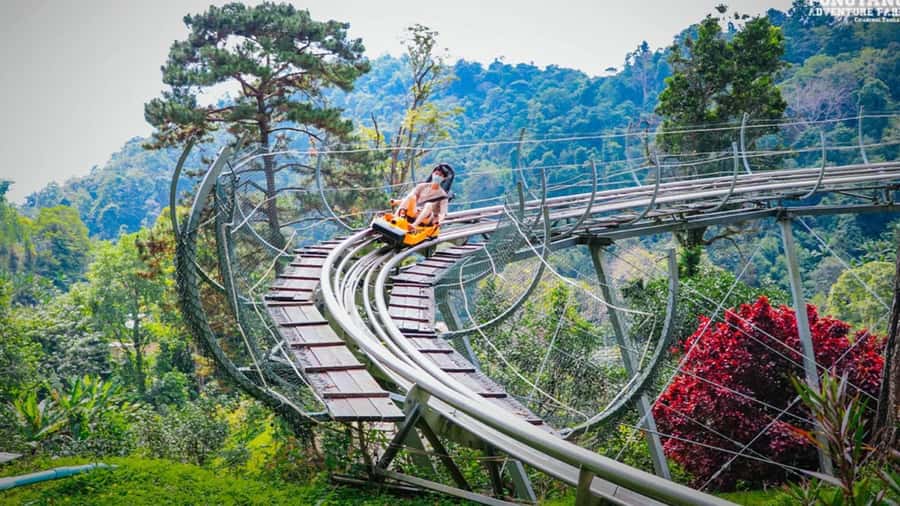 Chiang Mai: Pongyang Jungle Coaster and Zip Line Tour - Key highlights at a glance