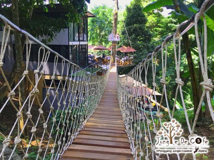 Chiang Mai: Pongyang Jungle Coaster and Zip Line Tour - Jungle coaster thrills you can feel in your chest
