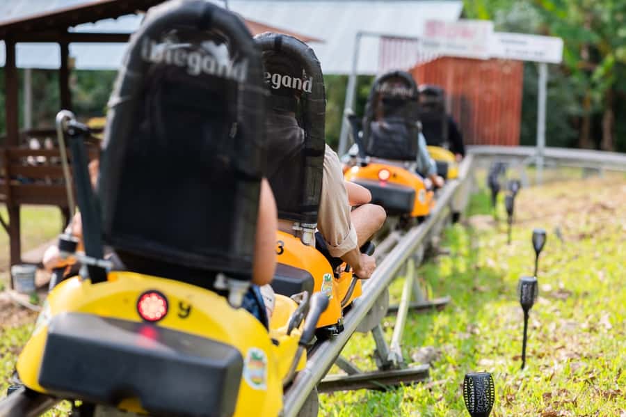 Chiang Mai: Pongyang Jungle Coaster and Zip Line Tour - Who should book, and who should skip this adrenaline day