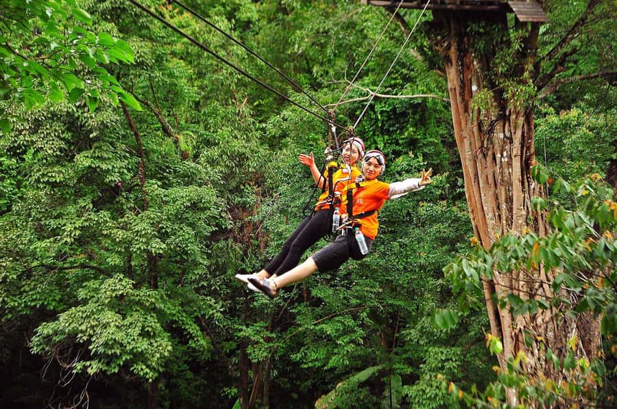 Chiang Mai : Pongyang Jungle Coaster Zipline - Choosing your activity package at Pongyang (and why it matters)