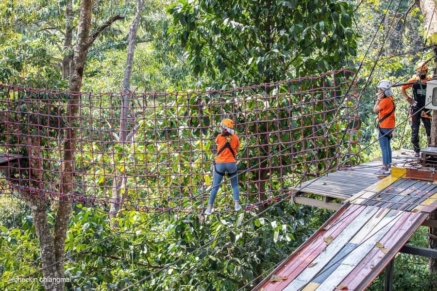 Chiang Mai: Pongyang Jungle Coaster & Zipline with Transfer - Key Highlights to Know Before You Go