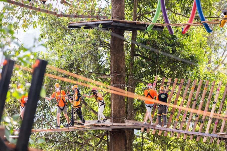 Chiang Mai: Pongyang Jungle Coaster & Zipline with Transfer - Should You Book This Coaster & Zipline Tour?