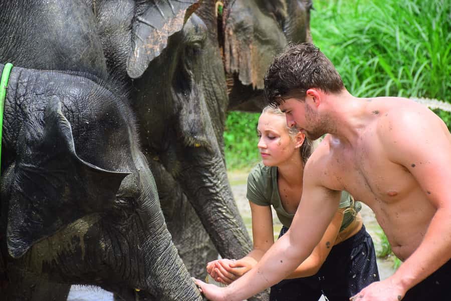 Chiang Mai: Private Elephant Care Experience for Couples - Why this couples elephant day works in Chiang Mai