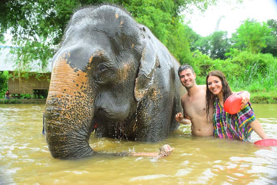 Chiang Mai: Private Elephant Care Experience for Couples - Morning feeding: fruits, sugar cane, and getting close