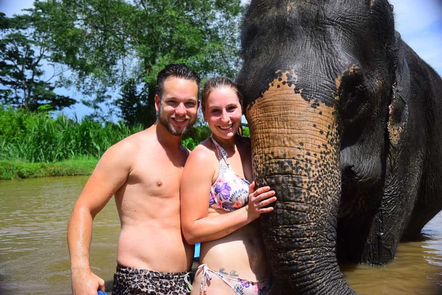Chiang Mai: Private Elephant Care Experience for Couples - From Old City pickup to the Elephant Retirement Park