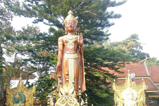 Chiang Mai Private Tour with Tea Plantation, Karen Village, Doi Suthep - Who this tour suits best