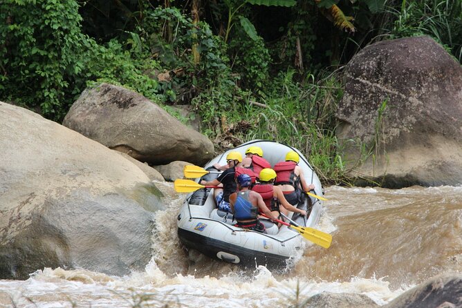Chiang Mai Rafting in Mae Taeng River with Thai Buffet - Elephants, Jungle, and Rice Fields: Why the Scenery Is Part of the Value