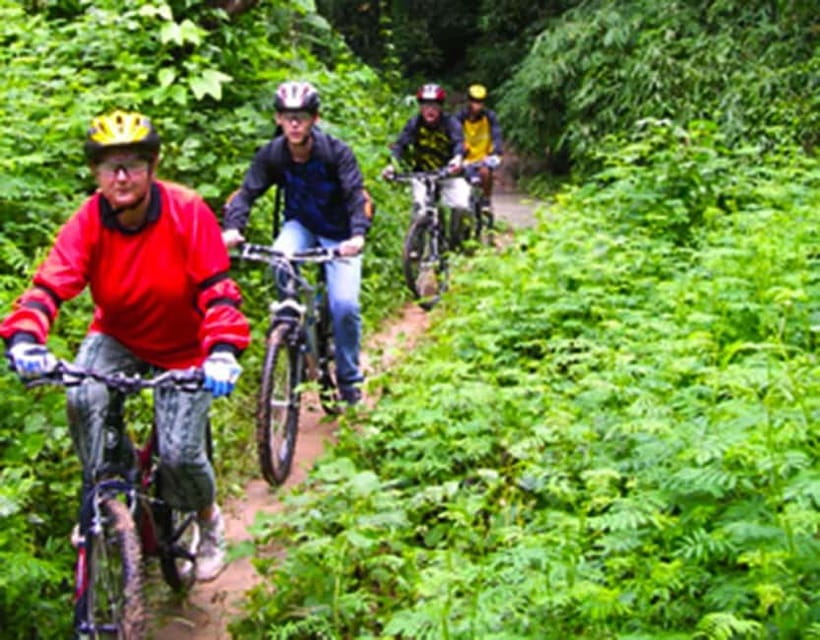 Chiang Mai: Rainforest Guided Mountain Biking Tour - Key highlights worth planning around