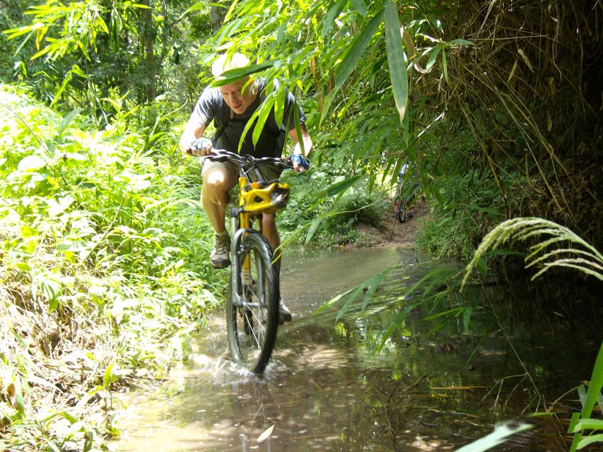 Chiang Mai: Rainforest Guided Mountain Biking Tour - Getting in the zone on technical jungle trails