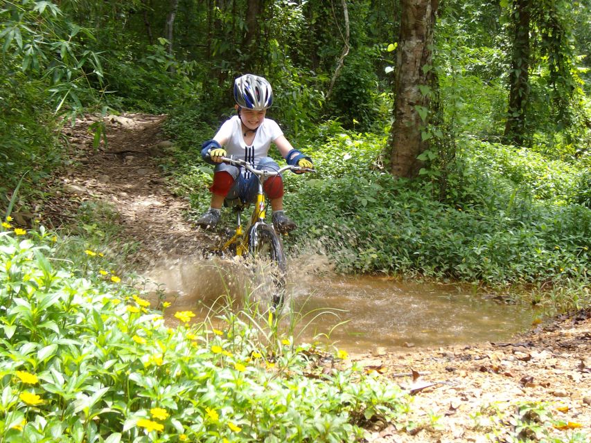 Chiang Mai: Rainforest Guided Mountain Biking Tour - Mae Kuang Dam viewpoint: lunch with a view and a second chance to ride