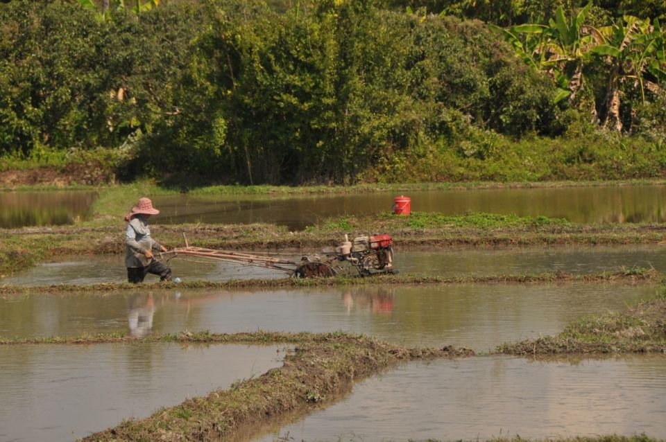 Chiang Mai: Rural Explorer Cycling Tour - Languages and group vibe: Thai and English guidance