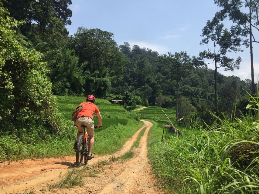 Chiang Mai: Rural Explorer Cycling Tour - Pace and terrain: 26–30 km of real roads, not a gym workout