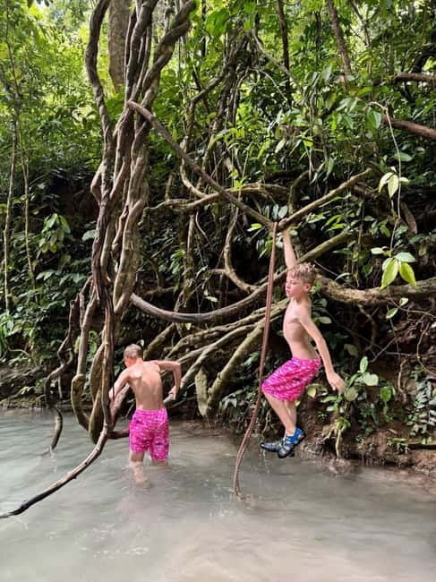 Chiang Mai Sticky Waterfall Adventure-Climb Like Spider-Man! - The Van Ride: Simple, Comfortable, and Timed for Waterfall Time