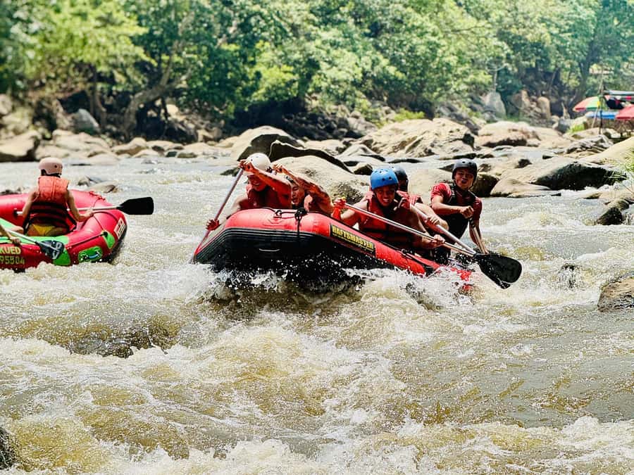 Chiang Mai: Sticky Waterfall and Rafting Day Trip - Key highlights to know before you go