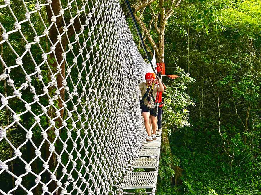 Chiang Mai: Sticky Waterfall and Zipline Adventure Day Trip - Key things to know before you go