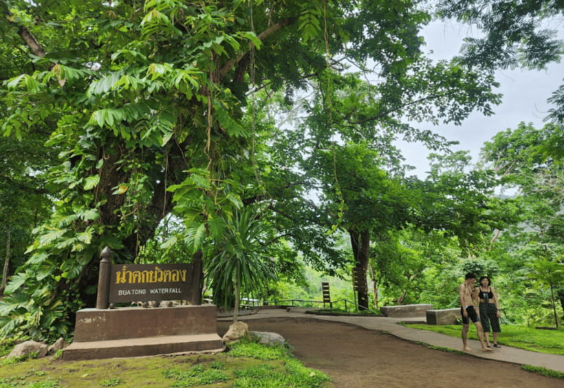 Chiang Mai: Sticky Waterfall, Bua Tong Cave Join Tour - Wat Tham Bua Tong: a short walk with spiritual expectations