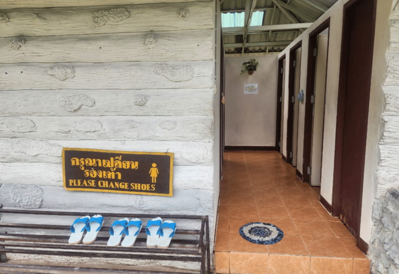 Chiang Mai: Sticky Waterfall, Bua Tong Cave Join Tour - Who this tour suits best