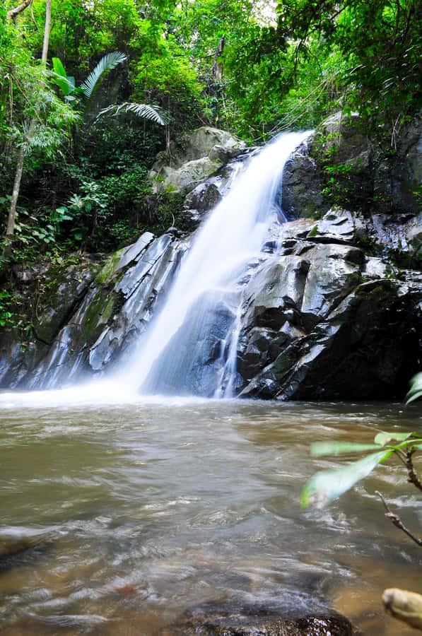 Chiang Mai: Sticky Waterfall & Caves Tour w/ Treehouse Stay - Key Highlights Worth Pricing In