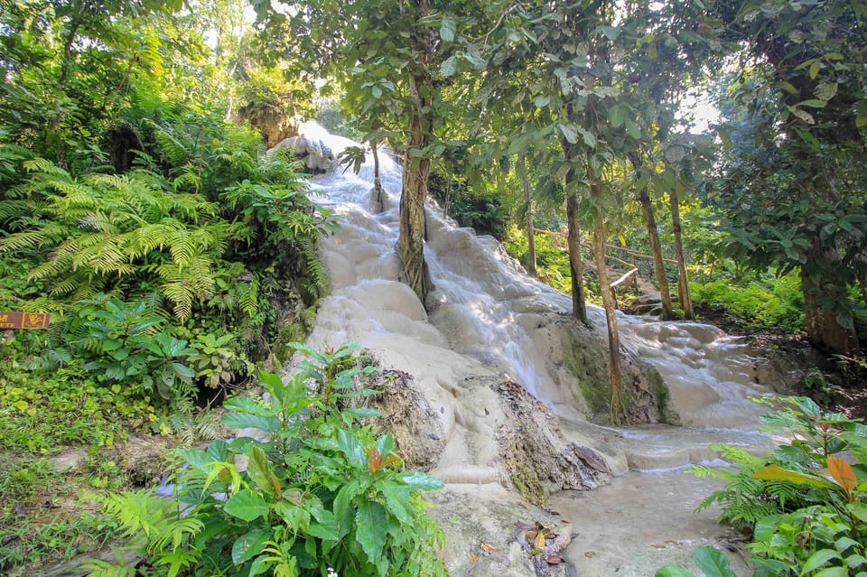 Chiang Mai: Sticky Waterfall, Chet Si Fountain Park Transfer - Chet Si Fountain Park: what the second nature stop adds