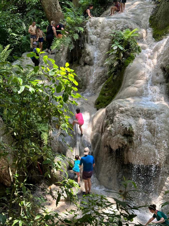 Chiang Mai : Sticky waterfall (Half Day Tour) Hotel Transfer - Key highlights at a glance