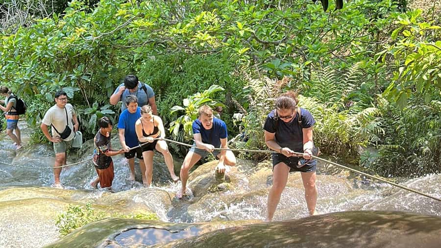 Chiang Mai : Sticky waterfall (Half Day Tour) Hotel Transfer - The timing: morning run vs afternoon run