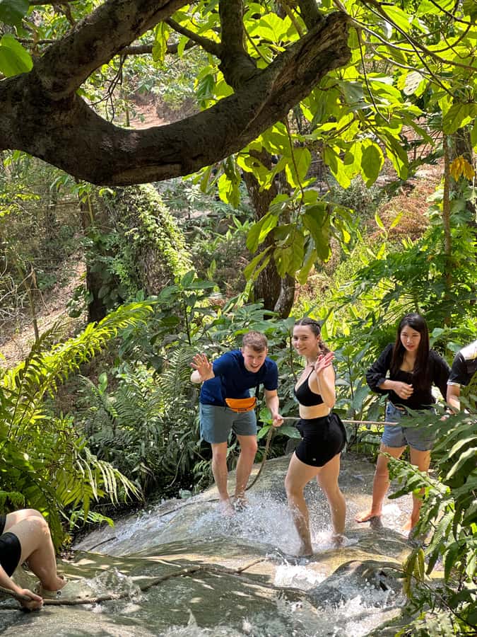 Chiang Mai : Sticky waterfall (Half Day Tour) Hotel Transfer - What’s included, what’s not, and the hidden value in the details