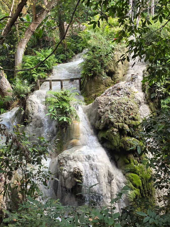 Chiang Mai : Sticky waterfall (Half Day Tour) Hotel Transfer - Who should book this sticky waterfall half-day tour