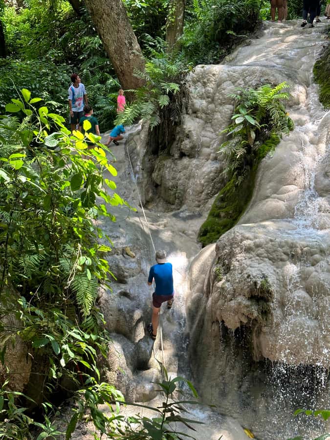 Chiang Mai : Sticky waterfall (Half Day Tour) Hotel Transfer - Who should skip it (or choose another activity)