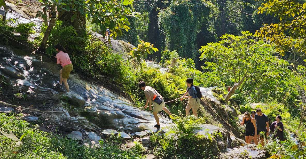 Chiang Mai: Sticky Waterfall Half-Day Tour & Hotel Transfers - Your 2 hours at the falls: one climb, two climbs, and queues