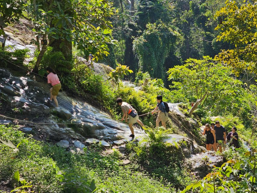 Chiang Mai: Sticky Waterfall Half-Day Tour & Hotel Transfers - Splash time: swimming is optional, but plan for it