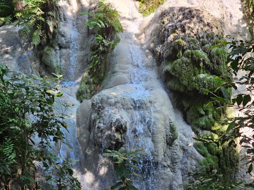 Chiang Mai: Sticky Waterfall Half-Day Tour & Hotel Transfers - No guide at the falls: easy signage, but be ready for self-direction
