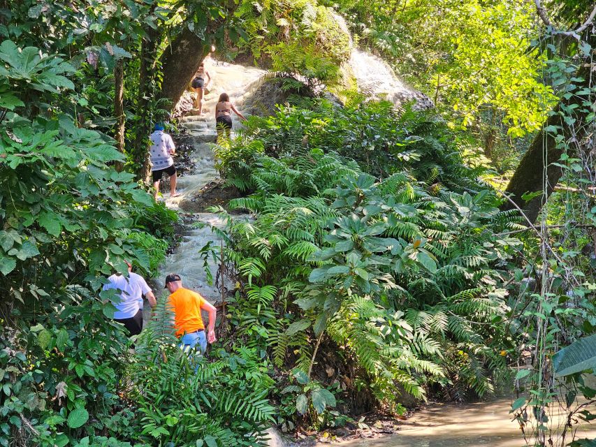 Chiang Mai: Sticky Waterfall Half-Day Tour & Hotel Transfers - Price and value: is $30 fair for a half-day?