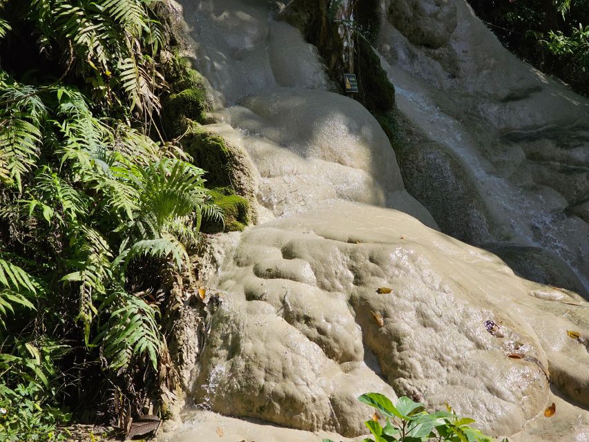 Chiang Mai: Sticky Waterfall Half-Day Tour & Hotel Transfers - Who should book this, and who should skip it?