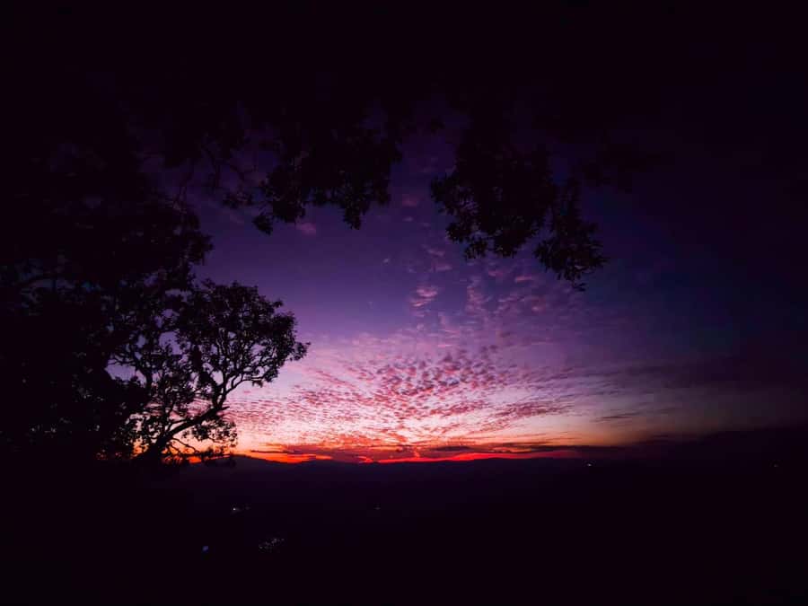 Chiang Mai Sunset Point,Wat Pha Lat,Wat Doi Suthep,Wat Umong - Price and Value in a 6-Hour Private Tour