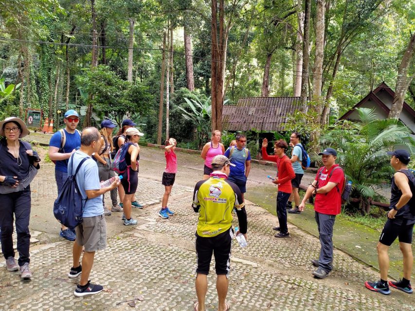 Chiang Mai: Suthep National Park Hiking & DH Mountain Biking - Day at a Glance: How the Doi Suthep Hiking + MTB Rhythm Works