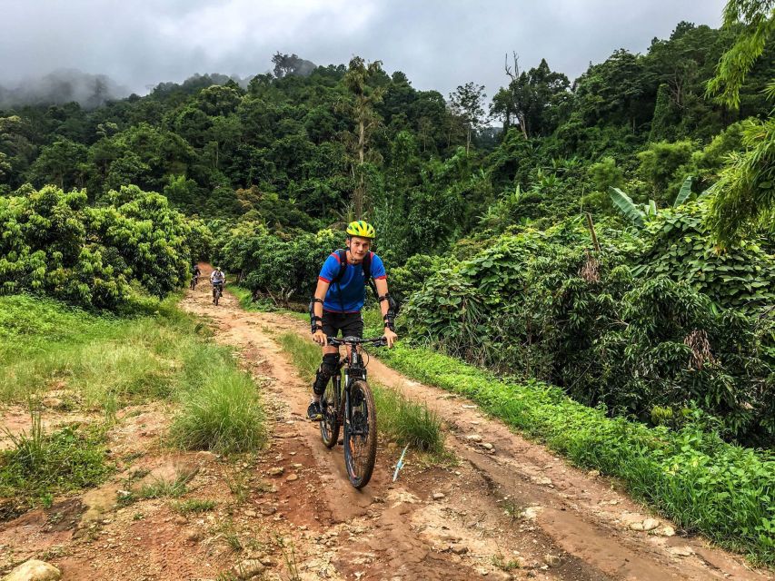 Chiang Mai: Suthep National Park Hiking & DH Mountain Biking - Monthathan Waterfall Visitor Centre: Where the Day Starts in Green