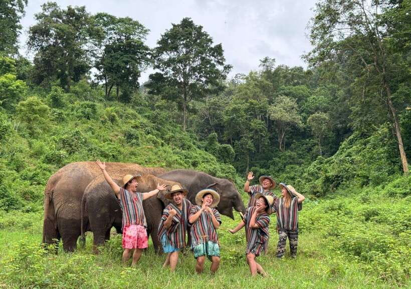 Chiang Mai | TeeTee Elephant Home Elephant Care Half-Day - Chiang Mai pickup to Kuet Chang district: plan your timing