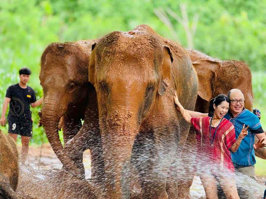 Chiang Mai : Temple , Nature and culture in one day. - Key highlights at a glance