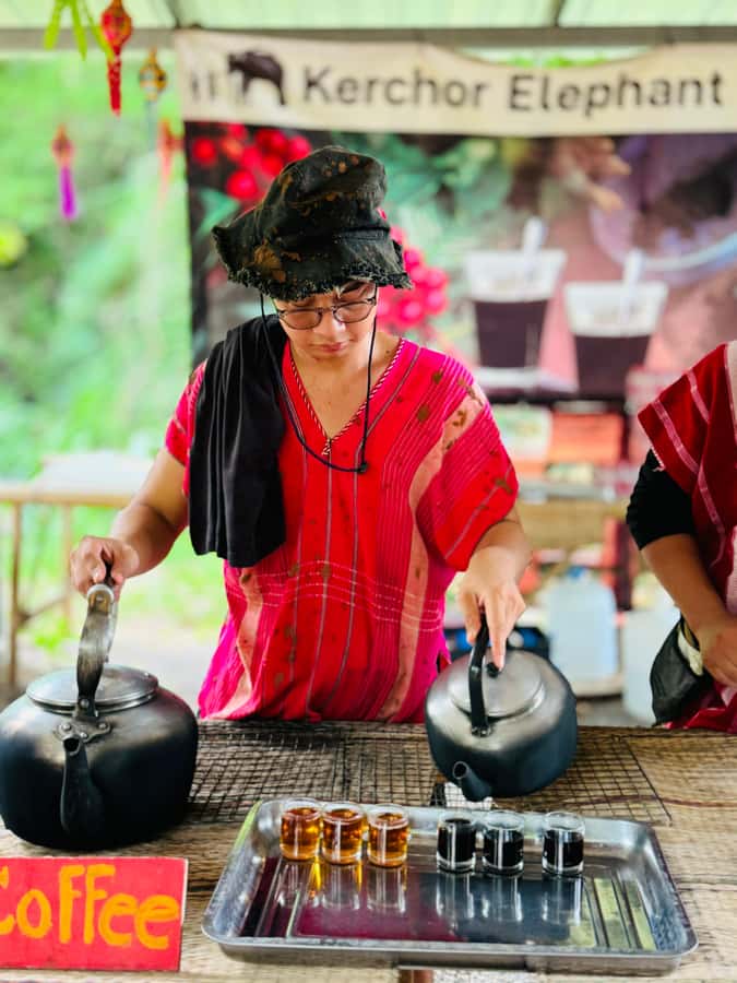 Chiang Mai : Temple , Nature and culture in one day. - Herbal balls, elephant bathing, and packing for the wet and muddy parts