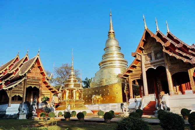 Chiang Mai Temples & City - Wat Suan Dok: The Flower Garden Temple and Its White Chedis